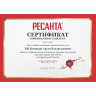 Сетевой шуруповерт РЕСАНТА СШ-550-1 75/16/2